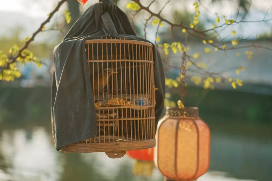 婺源油菜花一日游旅游攻略,婺源油菜花旅游攻略