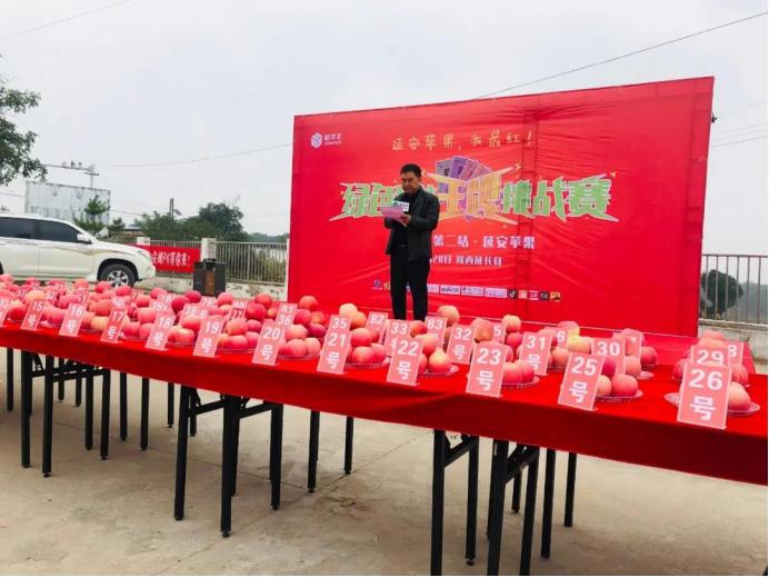 中国农资新洋丰,新洋丰农林卫视