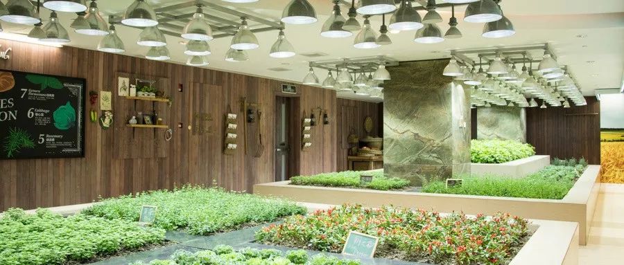 适合乡镇创业的工作有哪些,如果返乡创业做点什么生意好