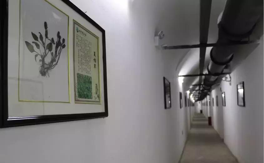 清明踏青好去处邯郸,清明假期旅游必备