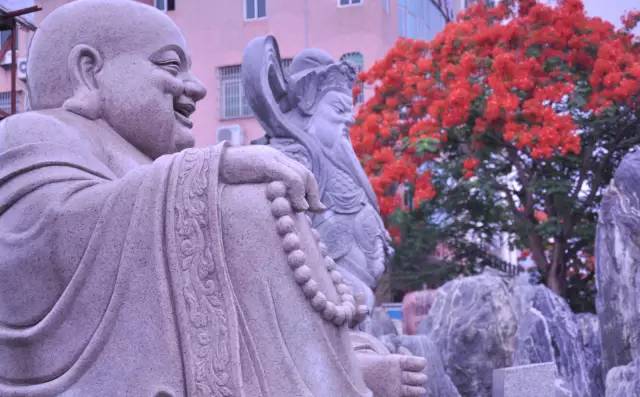 毕业季的凤凰花和栀子花,毕业季凤凰花开的时候