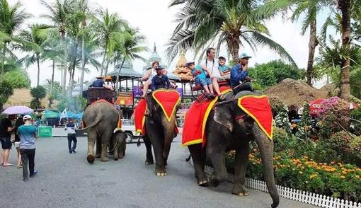 泰国荣耀之旅留下美好记忆丨“董家骨科”纪行