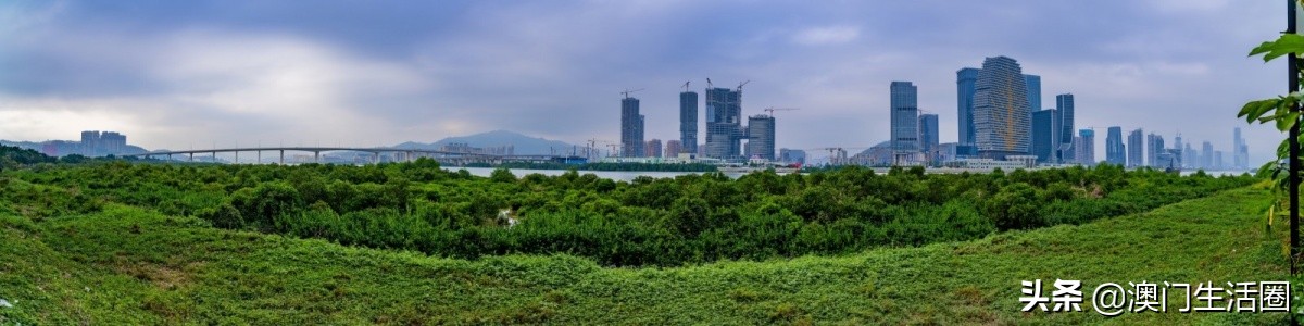 澳门劳工可以在珠海横琴买社保,澳门居民住在珠海可以领福利吗