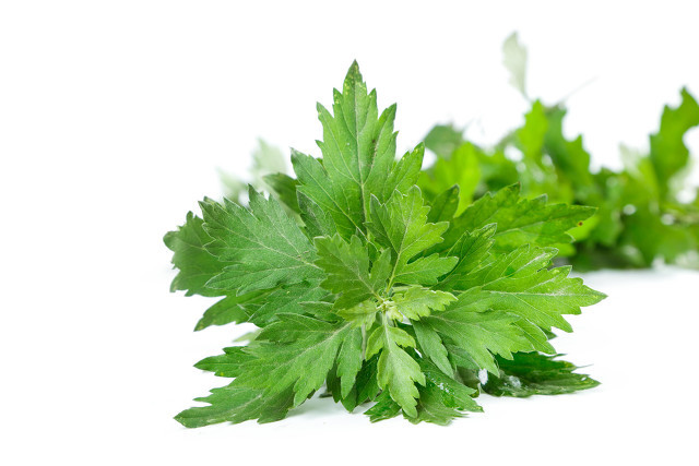 艾灸烟熏火燎,艾灸烟熏全身