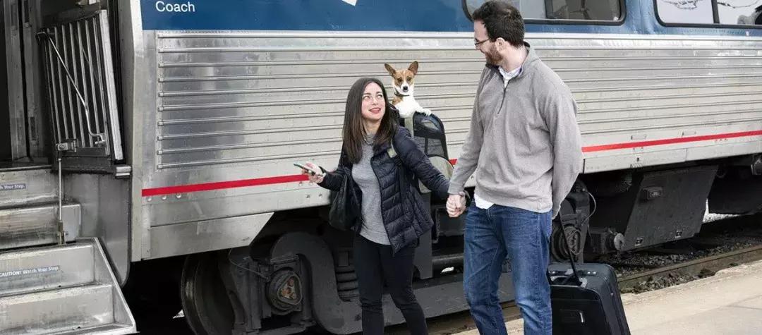 年底“人类大迁徙”，猫猫狗狗旅行怎么办？