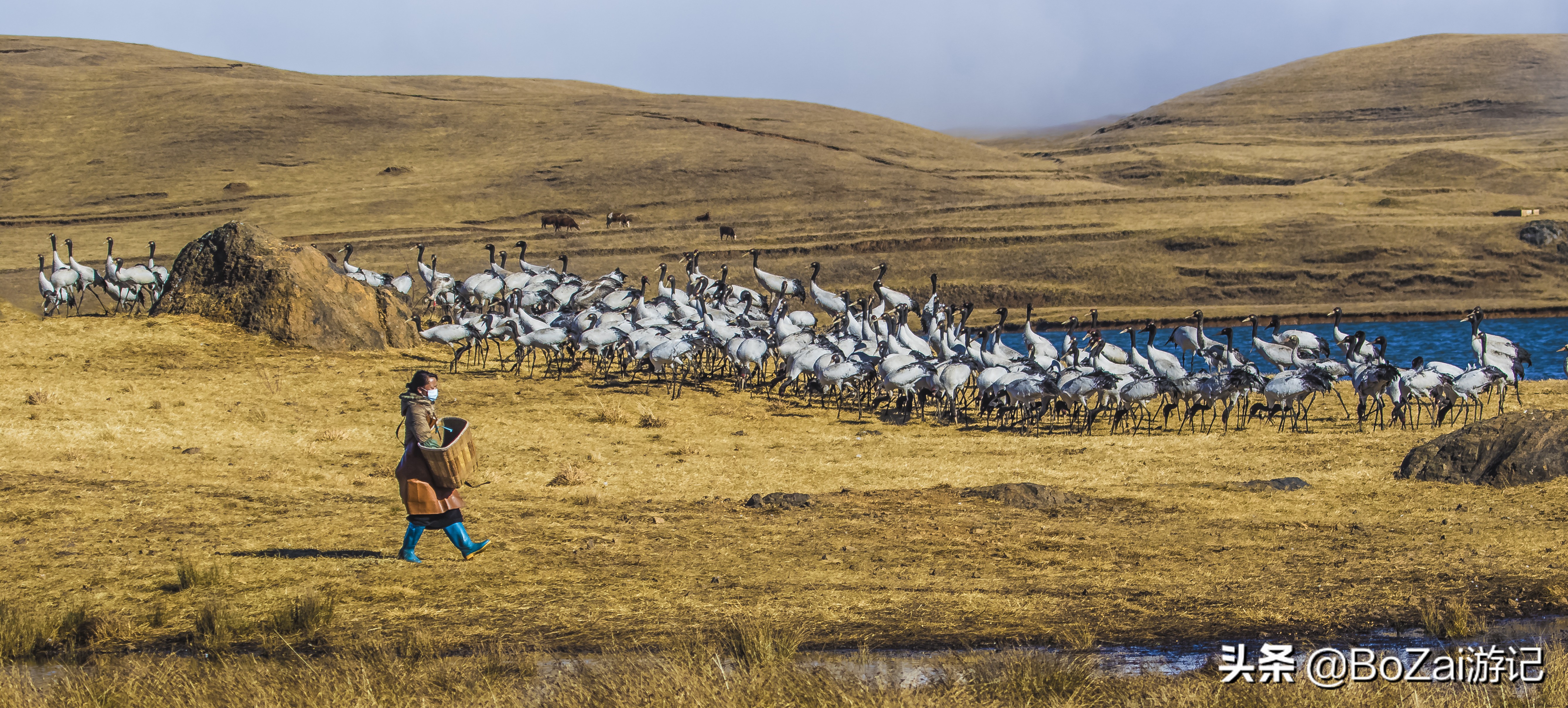 昭通到抚仙湖中途有什么景点好玩,云南昭通大关有哪些旅游景点