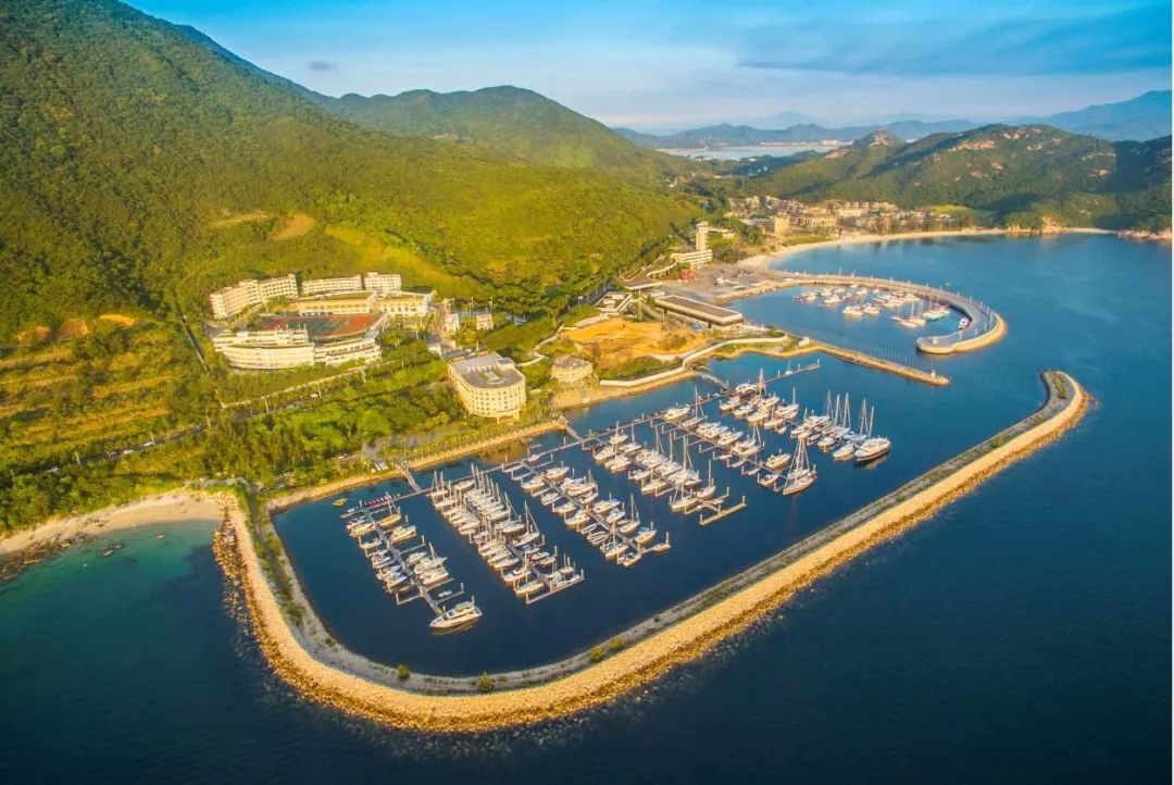 国内哪个海边赶海可以捡到贝壳,捡贝壳赶海好去处