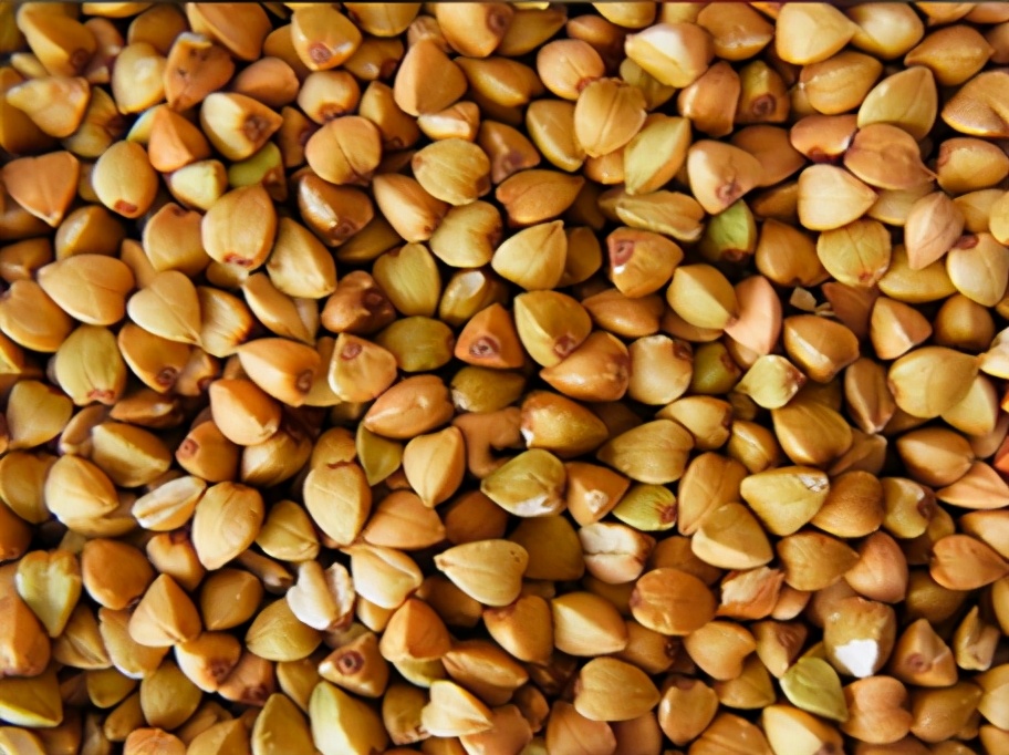 寒痰化热如何治疗,热痰和寒痰各是什么原因引起的