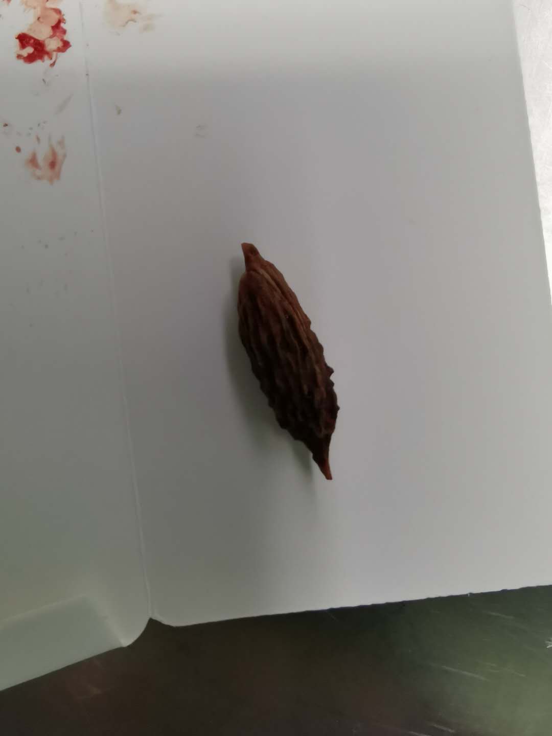 宝宝吞下枣核能自行排出么,宝宝枣核吃进去有事吗