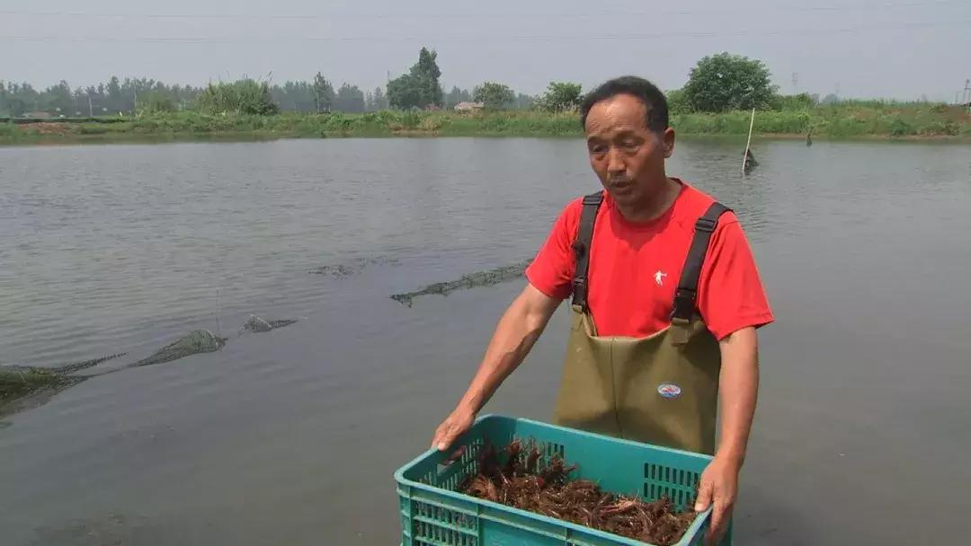 自己跑生意,自己跑业务做什么生意好