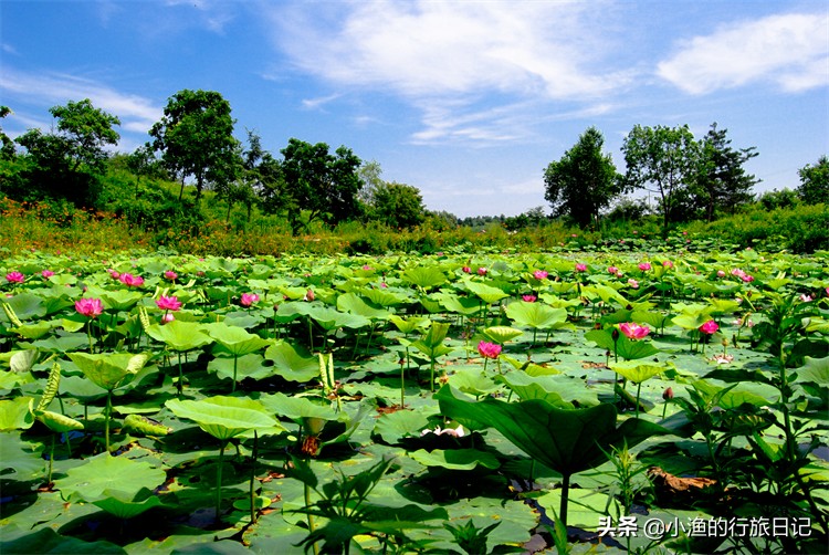 一到盛夏这座小城就是避暑胜地,哪些地方适宜避暑养老旅游