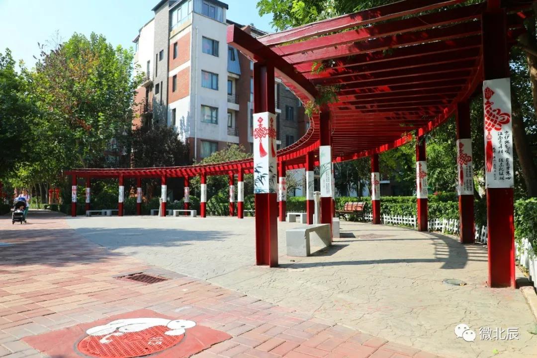 天津抗击新冠肺炎疫情先进典型 (全国抗击新冠肺炎疫情表彰哪些人)