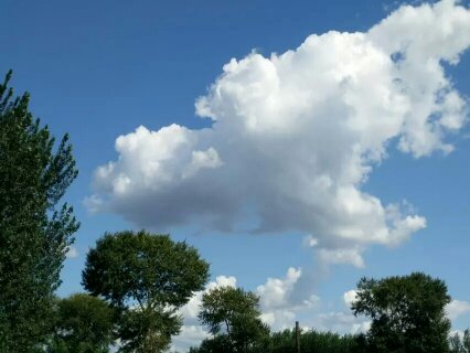 浮云电影,浮云散邓丽君原唱视频