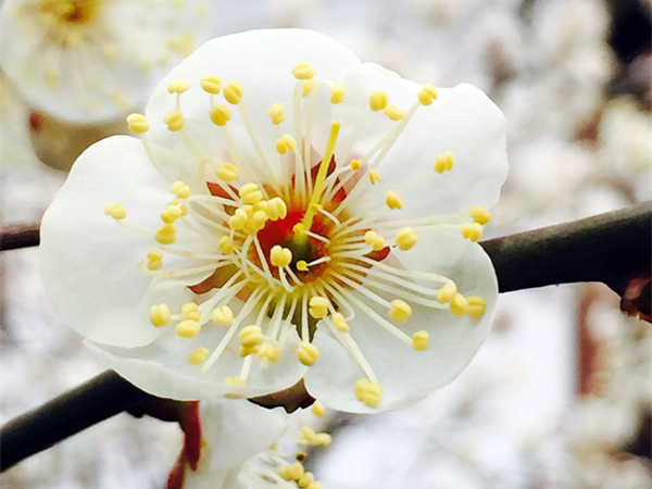 月下说金陵，晨起游南京