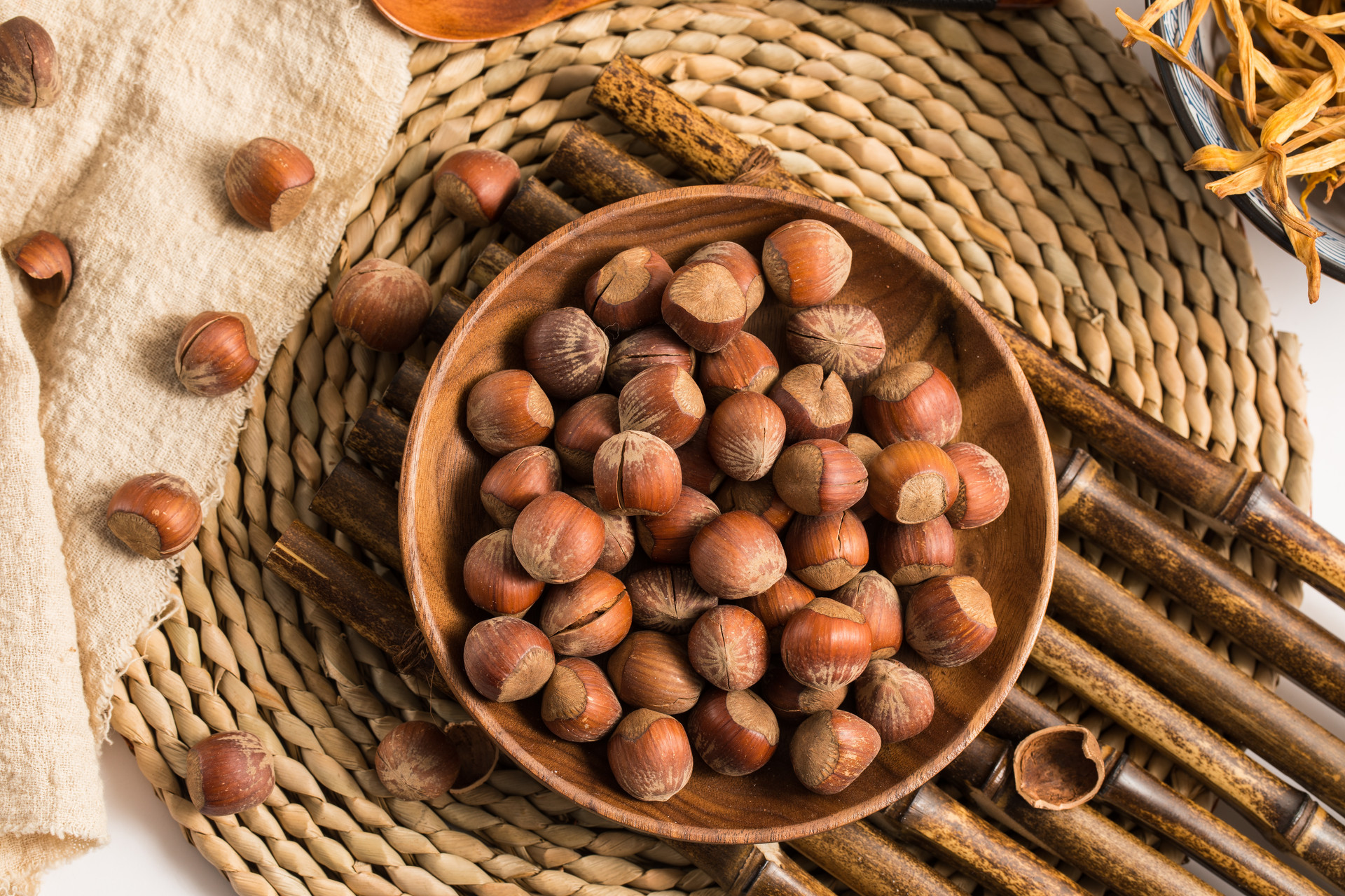 美国大榛子发芽育种,榛子如何育种