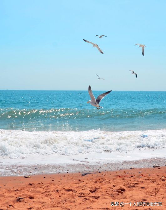 厦门海滨老城旅游,厦门最美海滨城