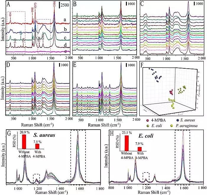 暨南大学：多功能生物传感器，病菌分离、检测、杀灭“三合一”
