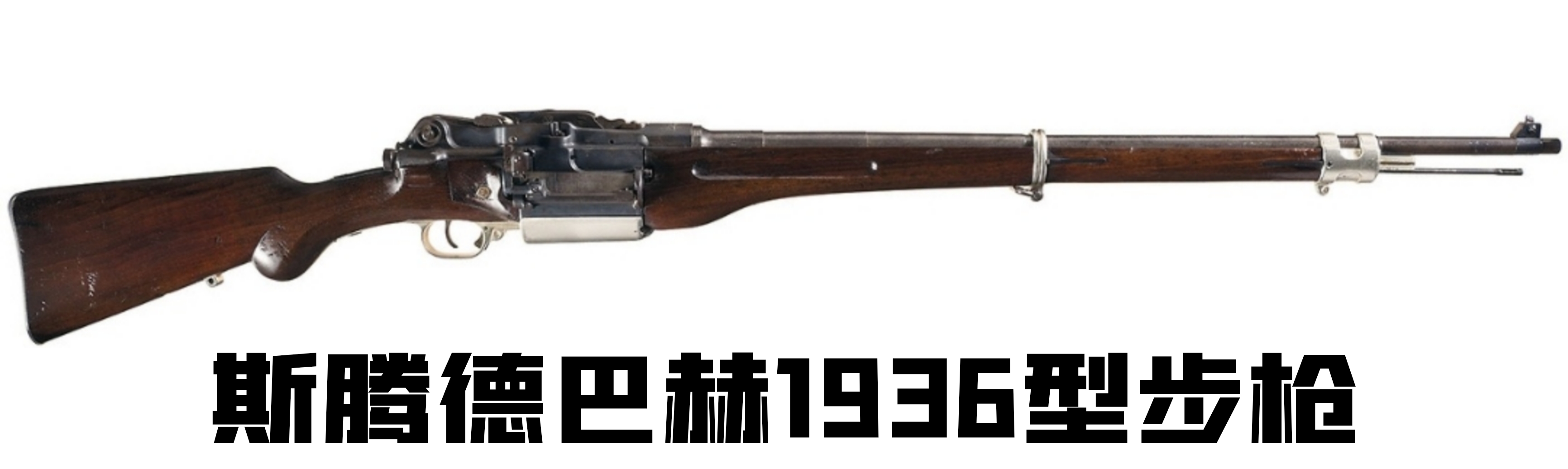 英国枪史图册全篇,德国枪图片