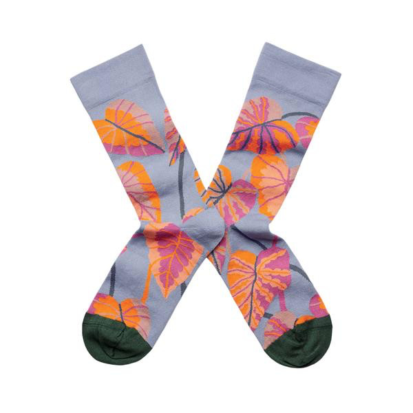 谁说袜子很无趣?BonneMaison,每一双袜子都存在强烈的故事感!