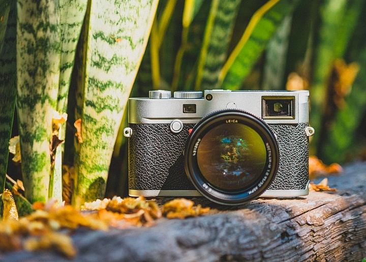 反璞归真2.0,反璞归真005