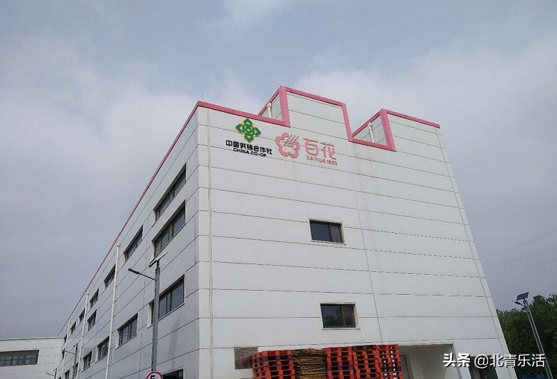 老字号百花蜂业,百花蜂蜜老字号