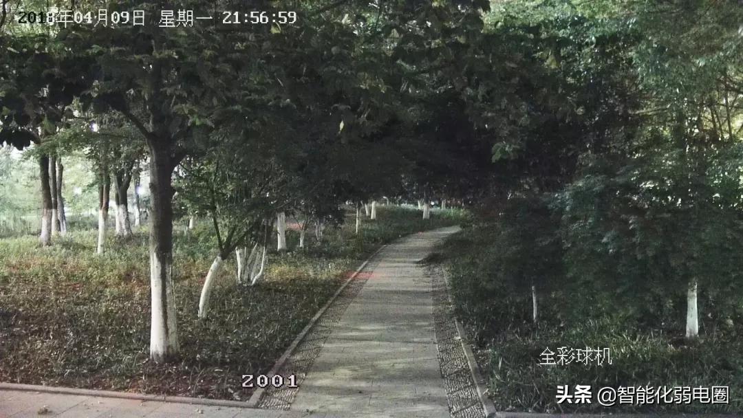 黑光夜视摄像头有哪些,星光全彩夜视摄像头