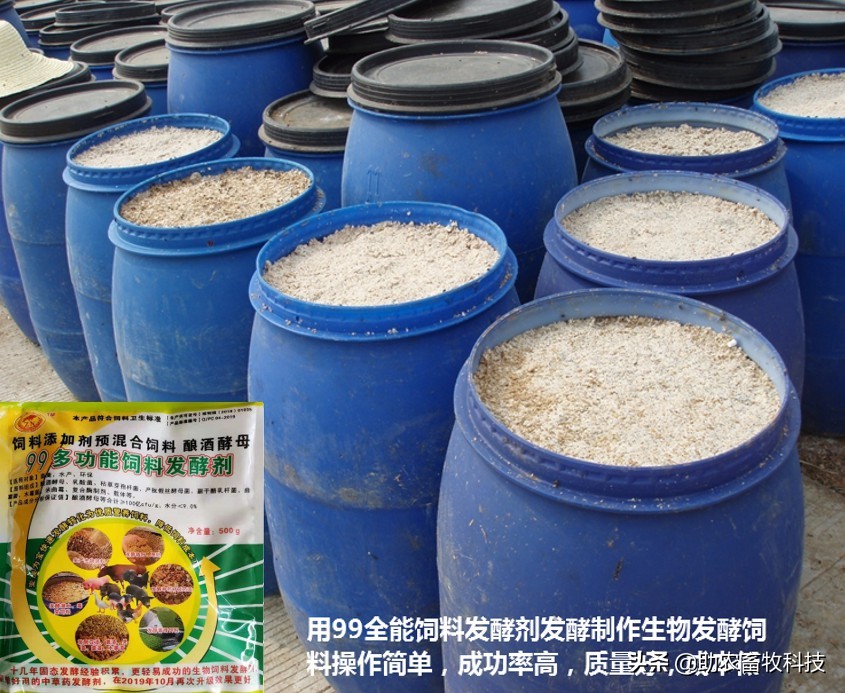 发酵饲料能提高多少吸收率,发酵饲料对猪有没有好处