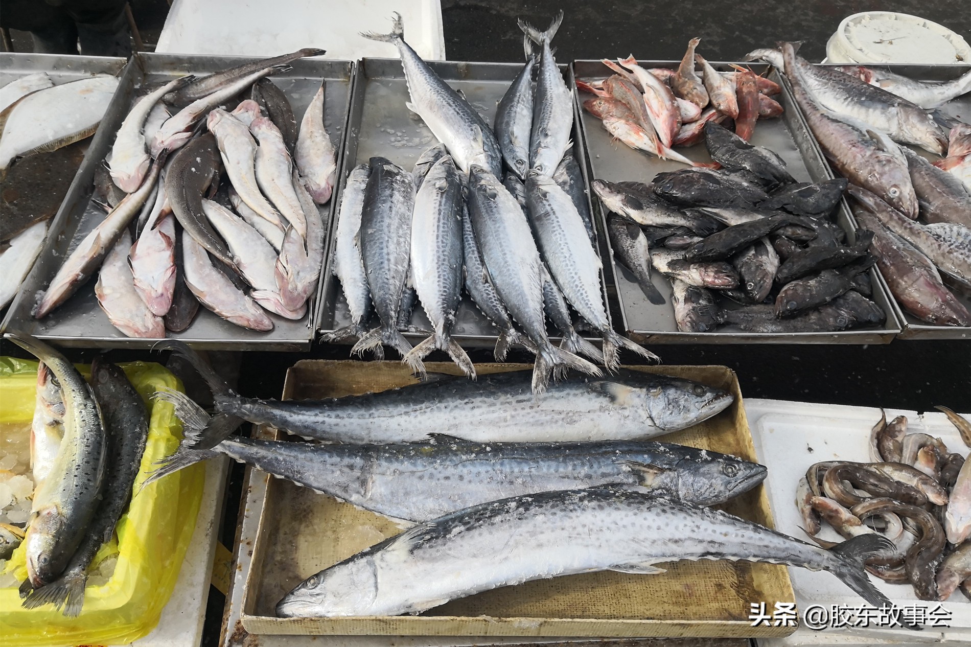 回忆：上世纪八十年代中期，烟台的海产品都是什么价格？