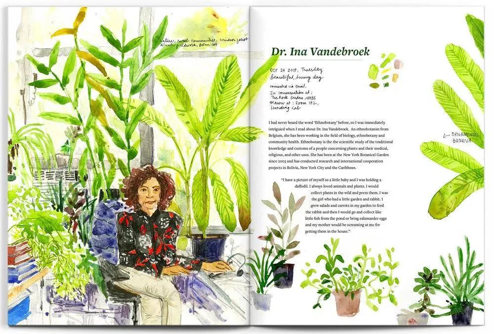 美国纽约视觉艺术学院插画,插画毕业展