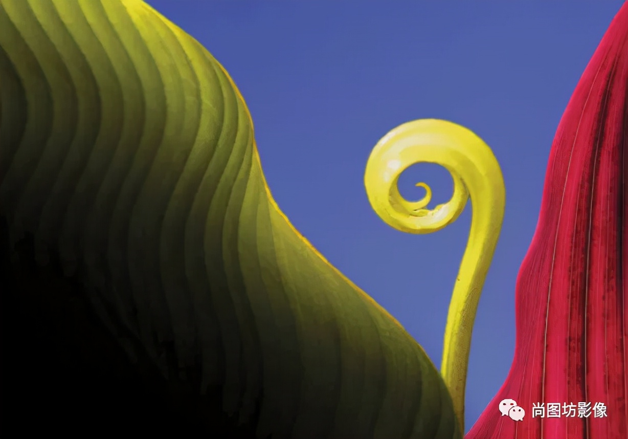 国际摄影展获奖作品,国际摄影获奖作品欣赏第88期