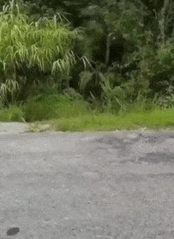 去按脚碰到前女友，怎么化解尴尬