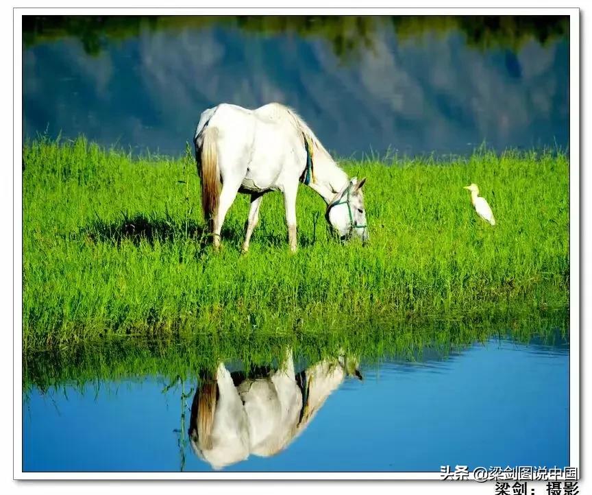 禁止野生动物保护环境人人有责,保护生态环境禁止野生动物上餐桌