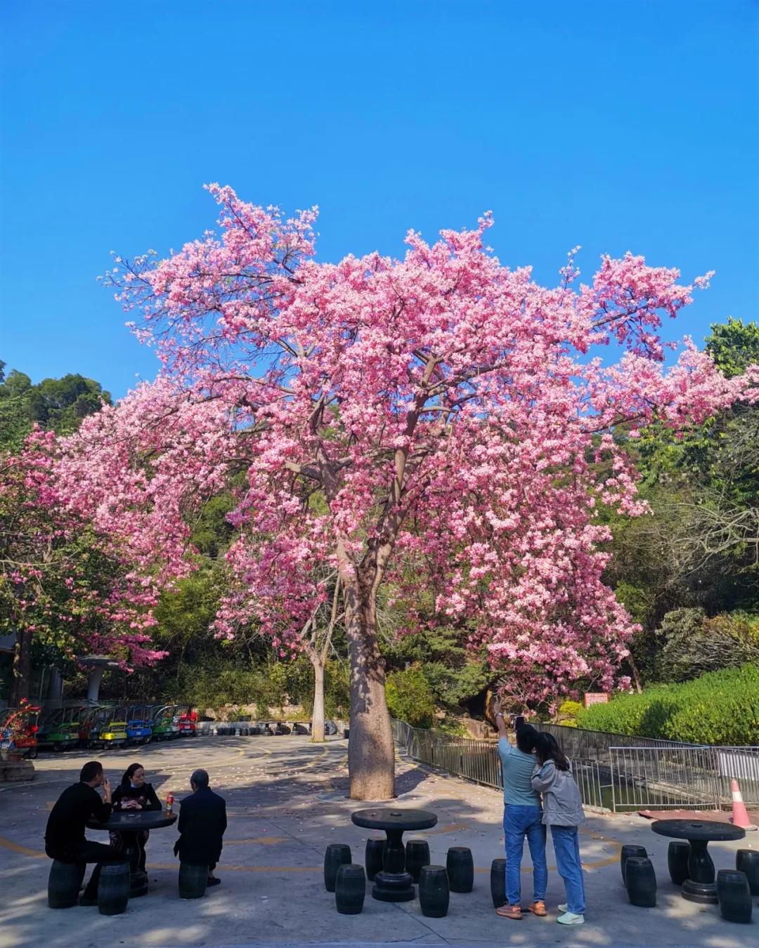 珠海买房过冬真实感受,在珠海买房十大秘诀