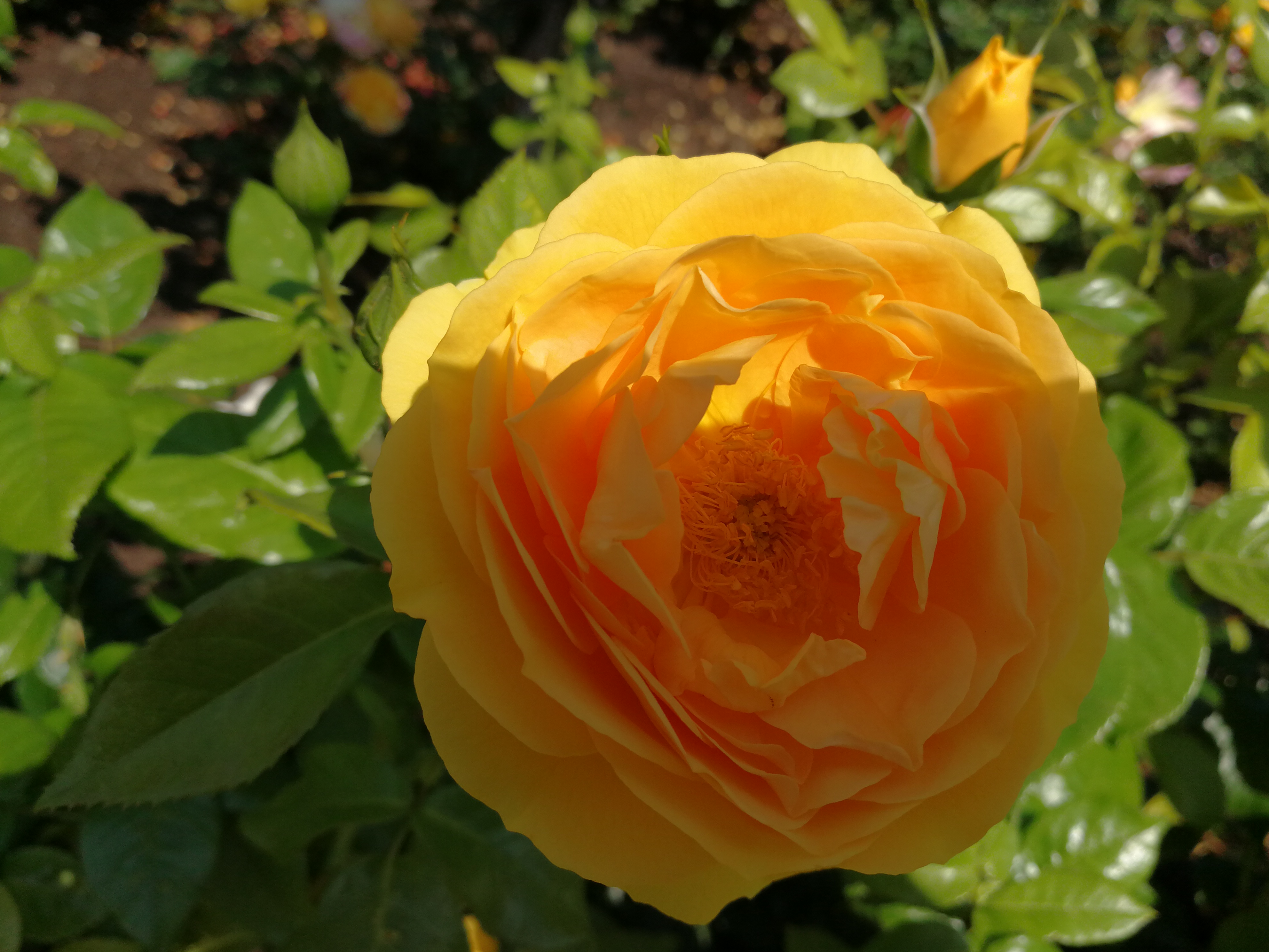 银行有每个月强制存款业务吗,在哪里可以强制性存款