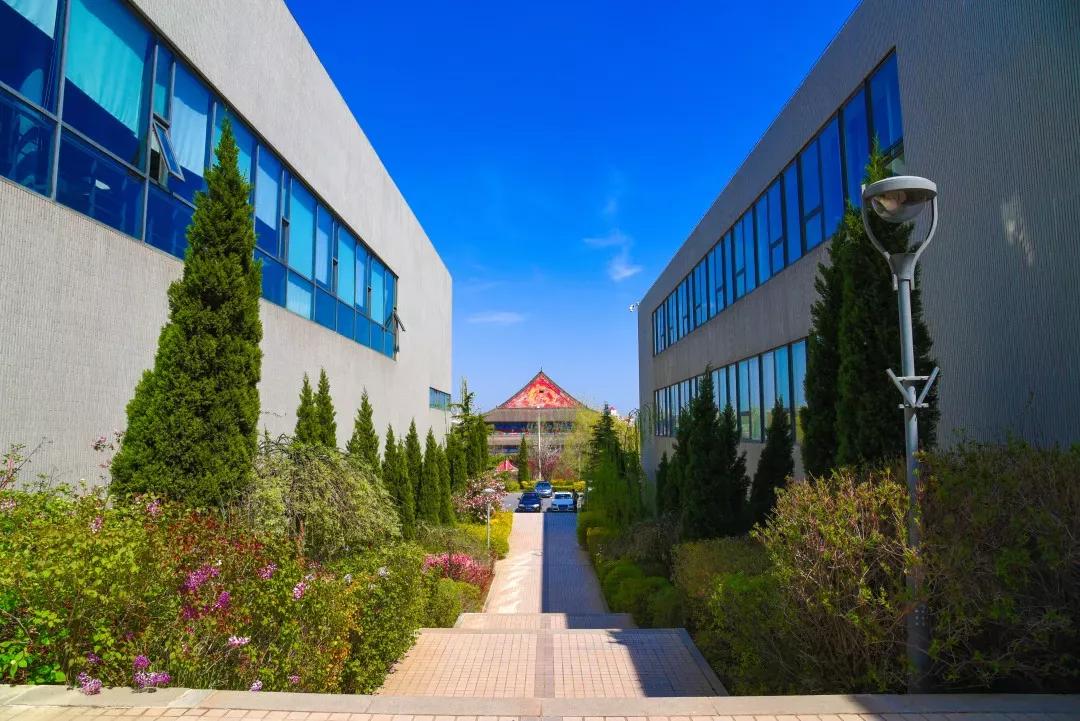 辽宁大学和鲁迅美术学院,辽宁省鲁迅美术学院是985吗