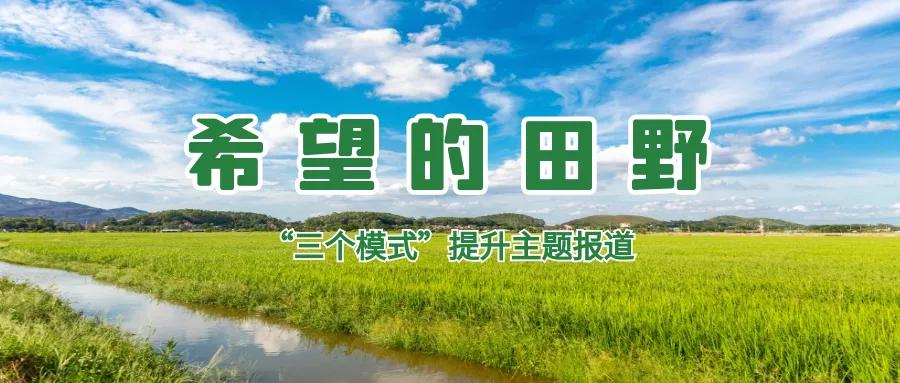 希望的田野播种希望的种子,希望的田野丰收的种子