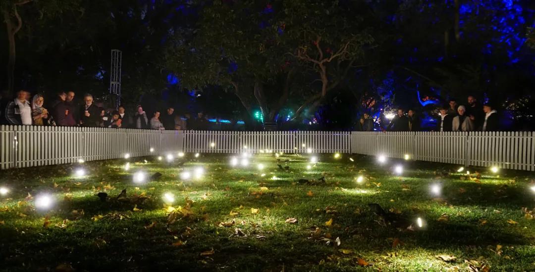 美得足以让人忘记时间流逝,美得让人静止的瞬间