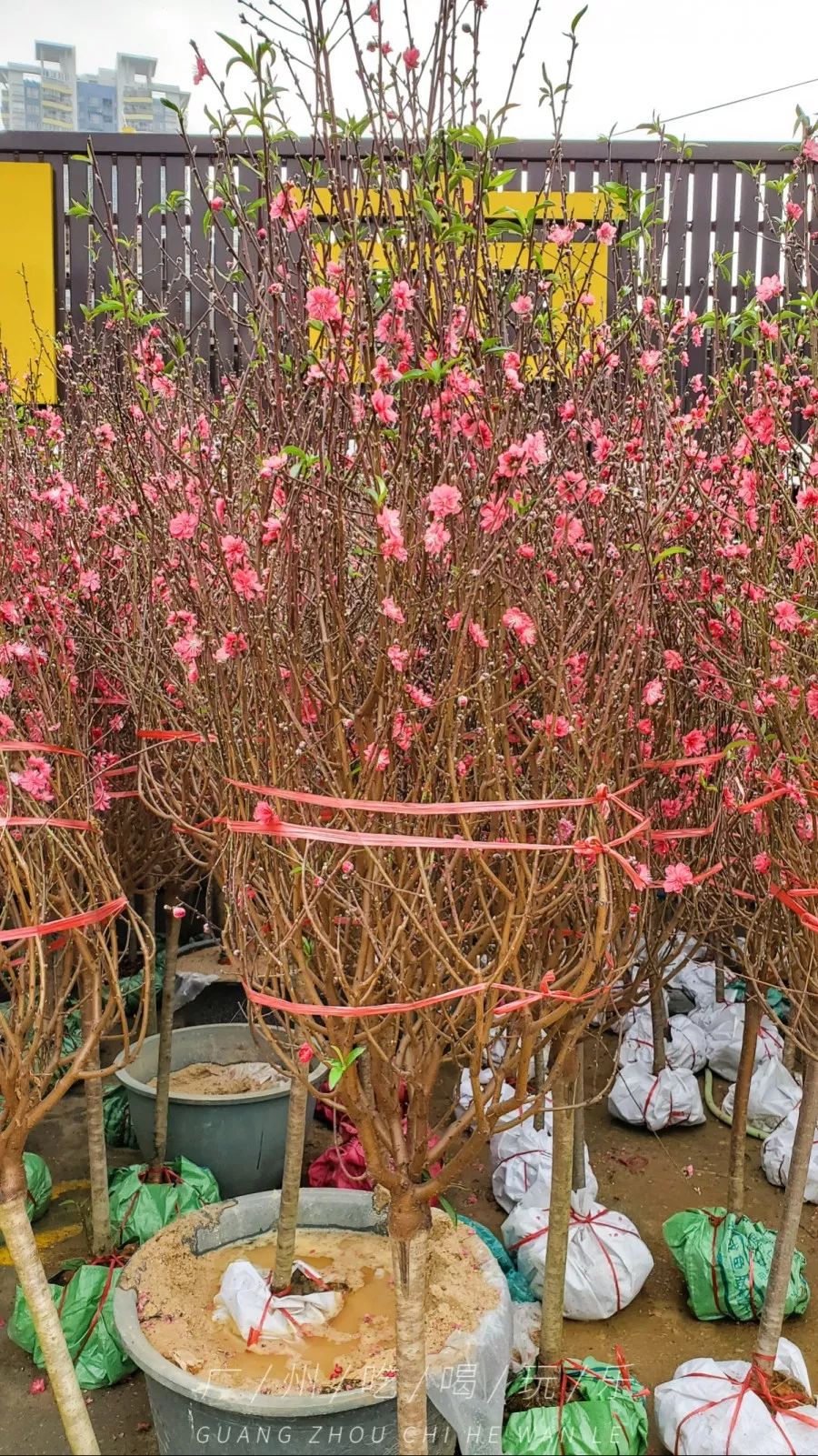 快收藏攻略,快收藏干货