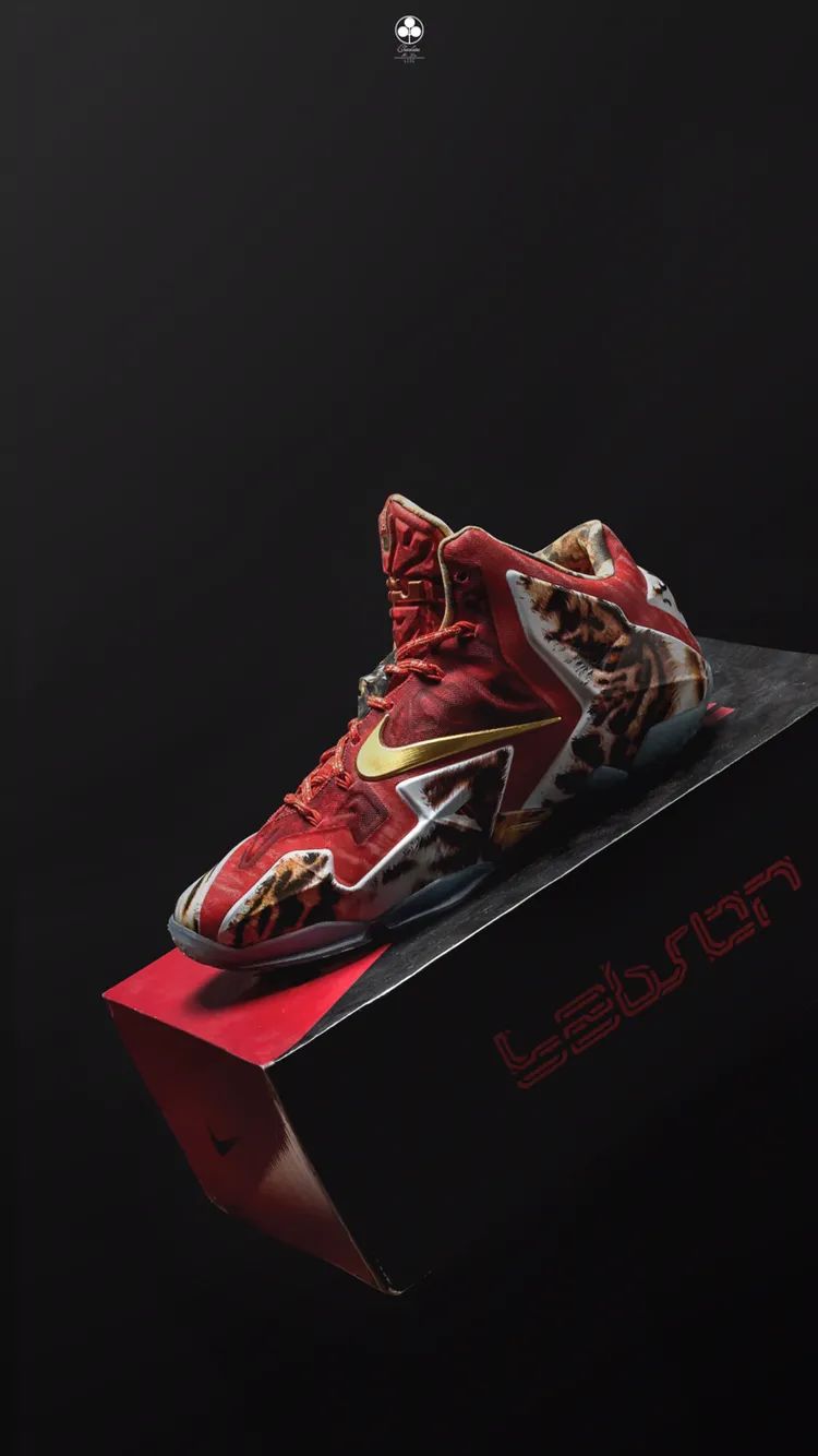 秀鞋史,秀鞋篮球鞋