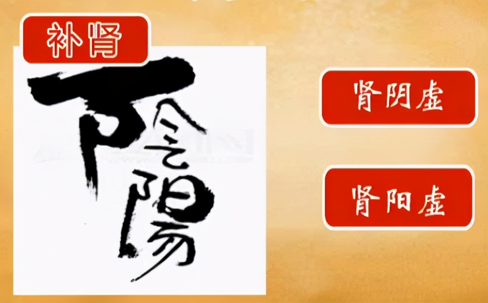 补肾养肾需分阴阳,肾阴虚、肾阳虚到底该如何区分?