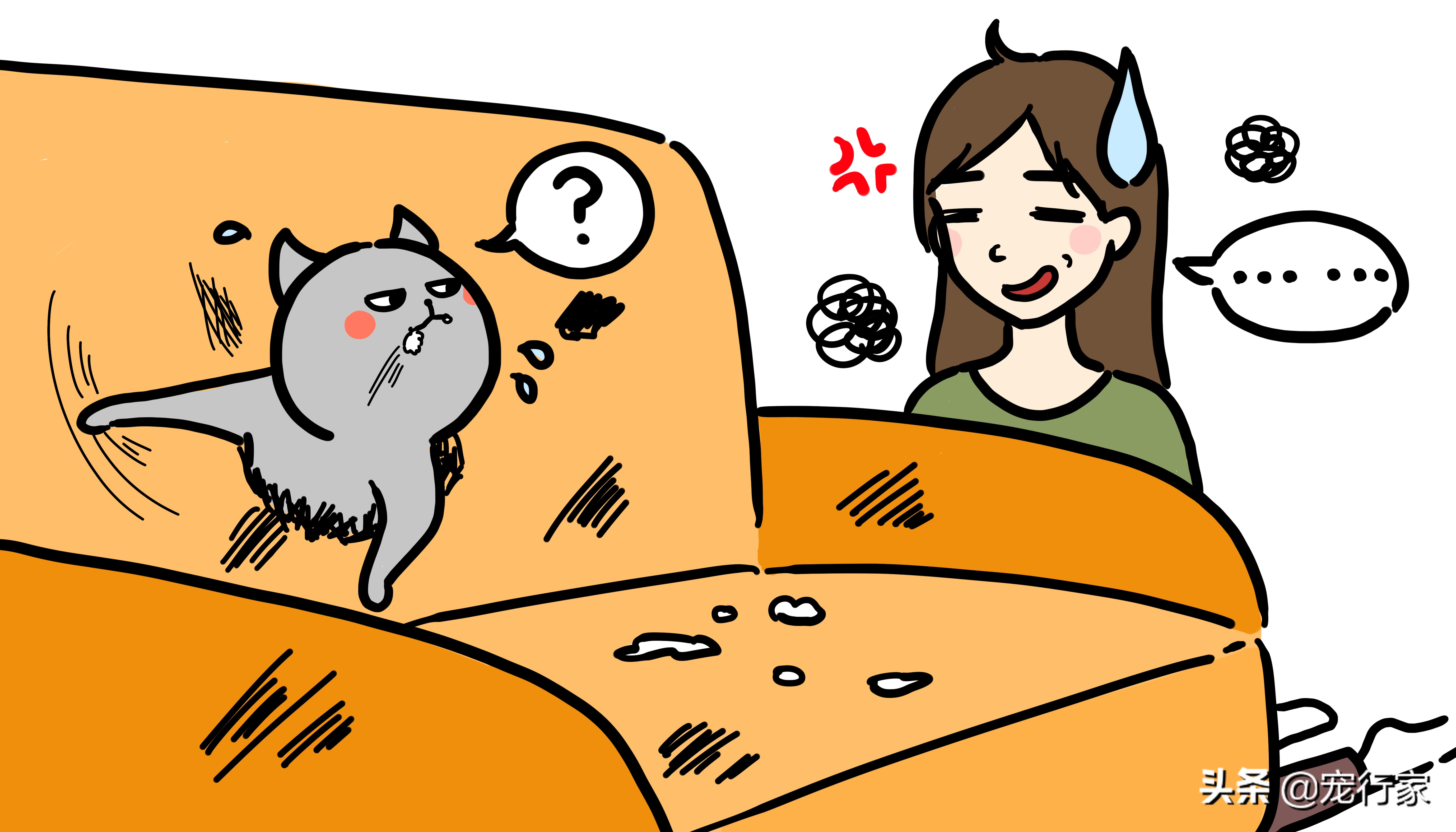 阻止猫咪乱抓家具的实用技巧:让猫学会不在家搞破坏,省下维修钱