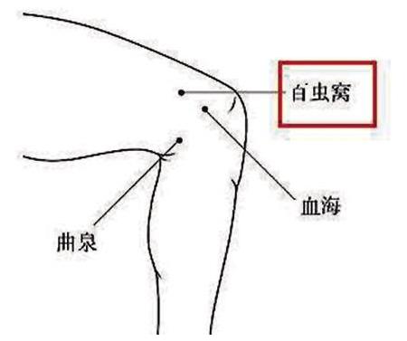 夏天皮肤瘙痒用什么中药处方,夏季皮肤瘙痒涂什么药