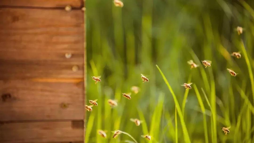 汽车企业环保低碳之路,汽车企业环保措施