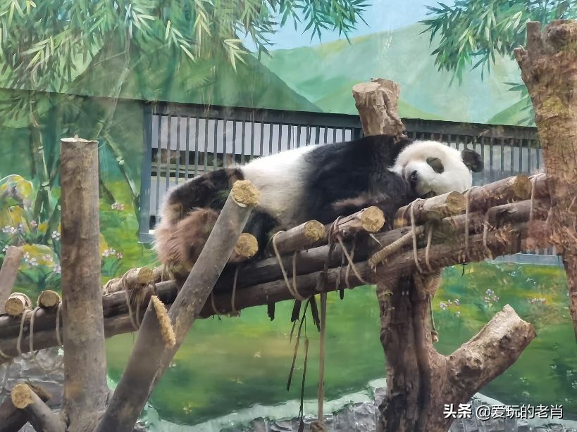 贵州双飞六日游跟团游,贵州双飞六日游多少价格