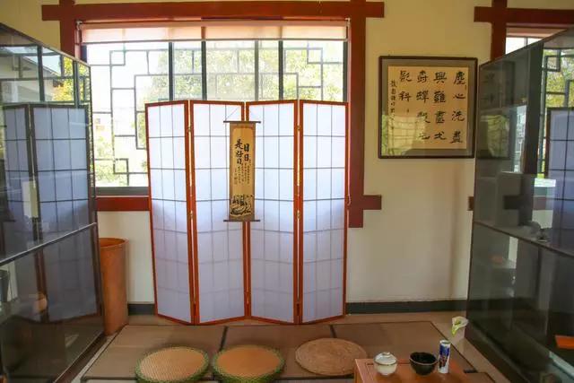 疫情过后一起来踏青吧,疫情过后一起去山花浪漫处