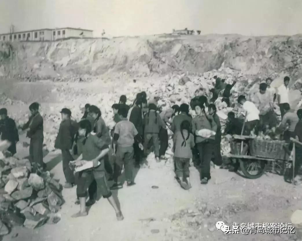 回忆我的母校600字,青岛第44中学照片