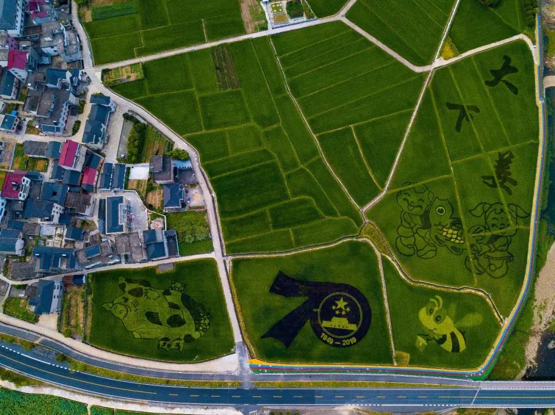 震撼!钱塘江畔出现巨型画作,有28个足球场这么大!