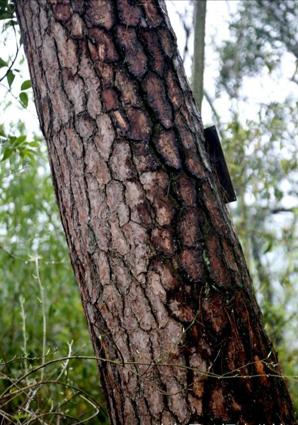 徐建成散文随笔选,徐建成的散文随笔