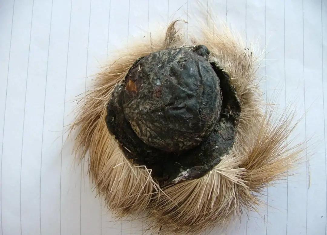 片仔癀如何服用,广东喝洋酒配片仔癀