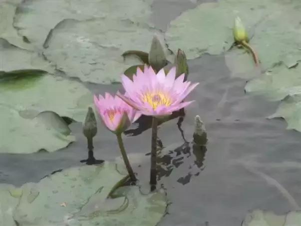 好久不见背后的故事,好久不见栏目张伟的故事